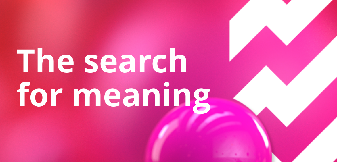 Search for Meaning - Instructographic